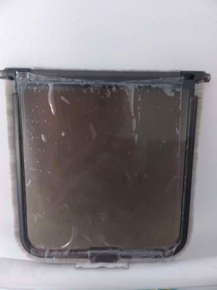 Photo of free Cat flap doors (Yew Tree WS5) #2