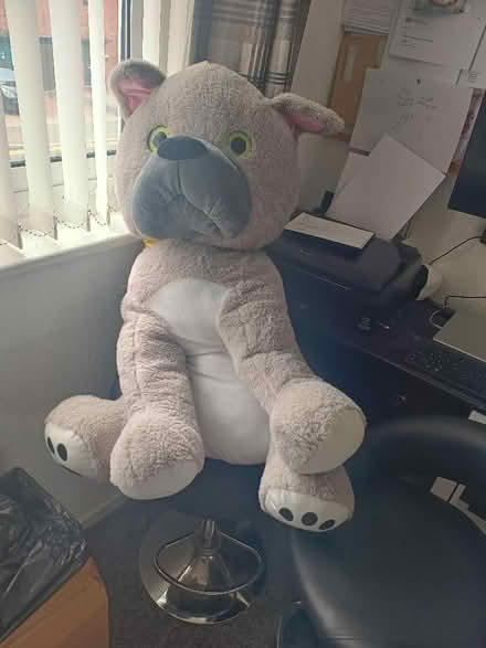 Photo of free Soft Toy (Tutbury DE13) #1