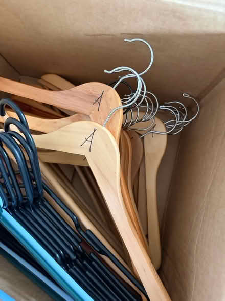 Photo of free Hangers (45th Ave N & 5th St N) #2