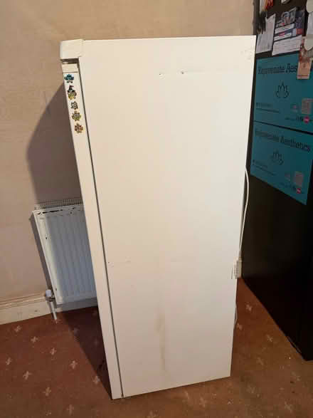 Photo of free Tall white fridge Electra 56” (Penn WV4) #4