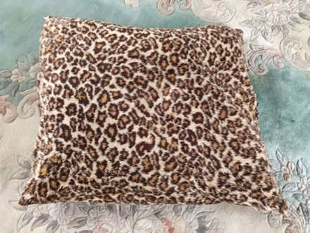 Photo of free Pet cushion, clean (Chalvington BN27) #1