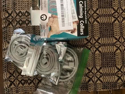 Photo of free Dog items (Glenolden 19036) #2