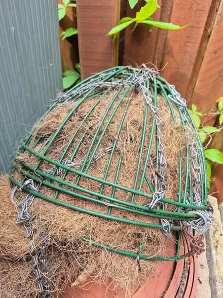 Photo of free 5 Hanging Baskets (Newby YO12) #1