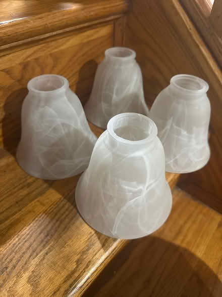 Photo of free Frosted glass light covers (Stuyvesant Heights) #1