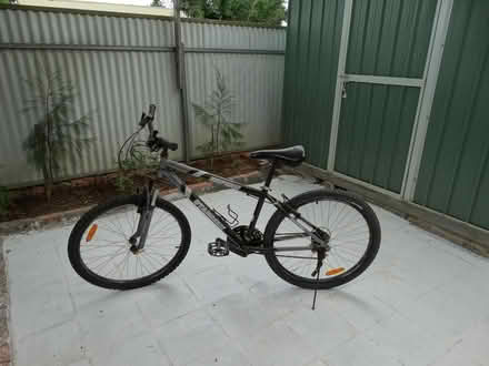 Photo of free Mountain Bicycle (Magill) #1