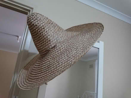 Photo of free sombrero (Magill) #1