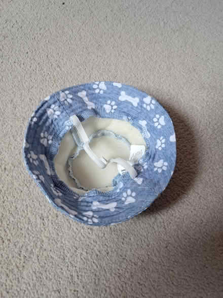 Photo of free Small dog / cat hat (Westhampnett) #2