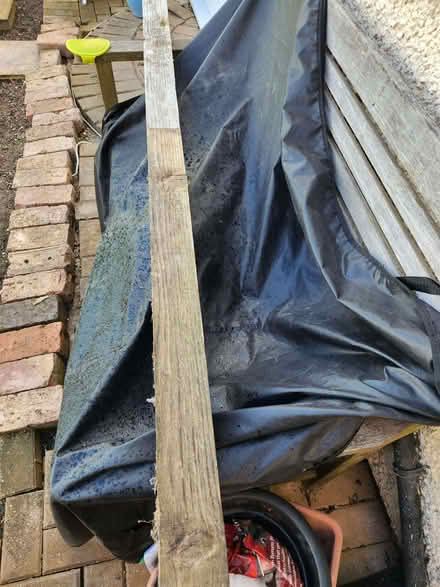 Photo of free Wood (Northop Hall CH7) #1