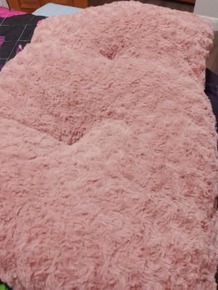 Photo of free Pet bed (Clacton-on-Sea CO15) #2