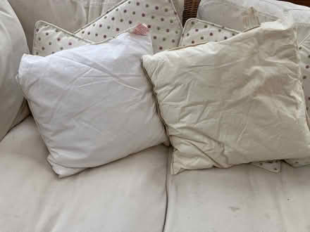 Photo of free Two feather cushion pads 40cm x 40cm (Hailsham BN27) #1