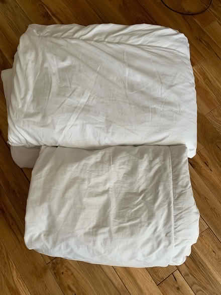 Photo of free 2 Single Hollow Fibre Duvets (Thorpe Marriot NR8) #1