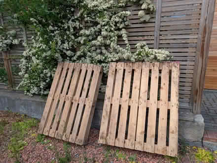 Photo of free empty wooden pallets (Carrick Knowe EH12) #1
