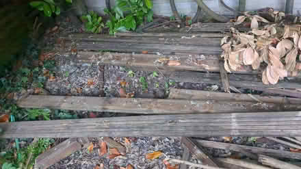 Photo of free Old patio planks (Br6) #1