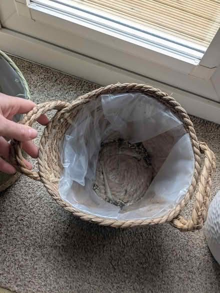 Photo of free Indoor plant pot (M32 stretford) #2