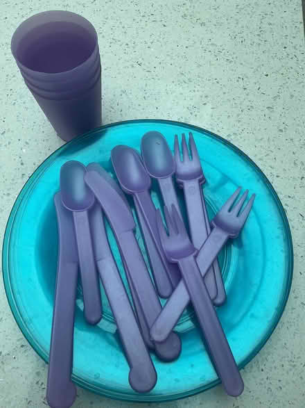 Photo of free Picnic Plates, cutlery and cups (West Wickham BR4) #2