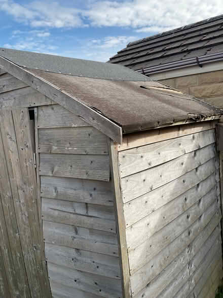 Photo of free Old garden shed (Netherton HD4) #1