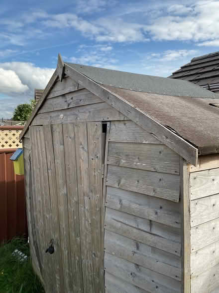 Photo of free Old garden shed (Netherton HD4) #2