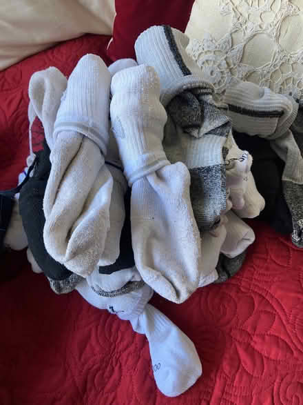 Photo of free teen boy socks & boxers (sausalito) #2