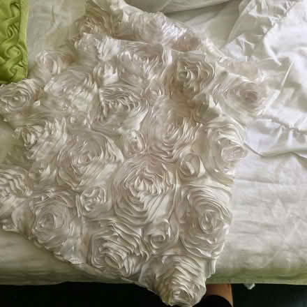 Photo of free 2 small cushion pads , 2 sets covers and 2 green c (Clive Vale TN35) #3