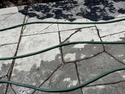 Photo of free Garden hose (near De Anza College) #1