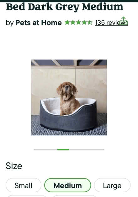 Photo of free Dog bed (Peacehaven) #1