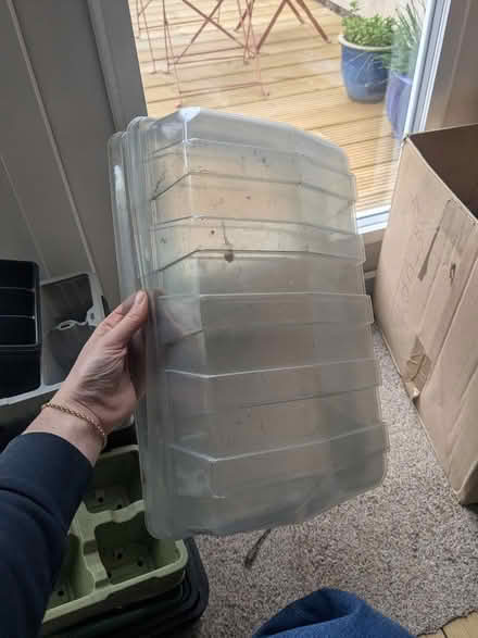 Photo of free Seed trays, pots, propagator lids (M32 stretford) #4
