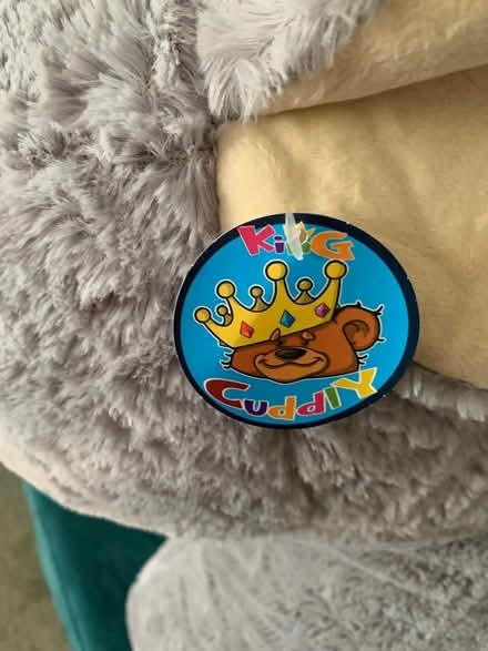 Photo of free Cuddly Donkey (L15 Wavertree) #2