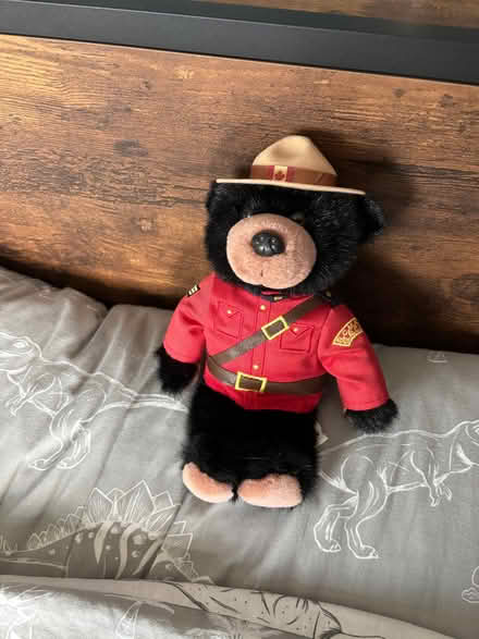 Photo of free Bear (Thringstone LE67) #1