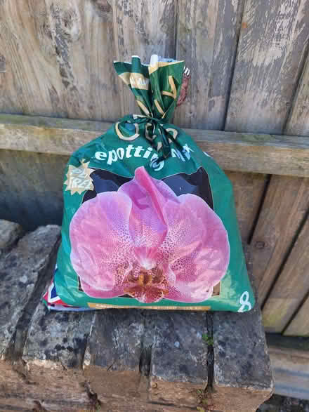 Photo of free Orchid potting mix (Hollingdean BN1) #1