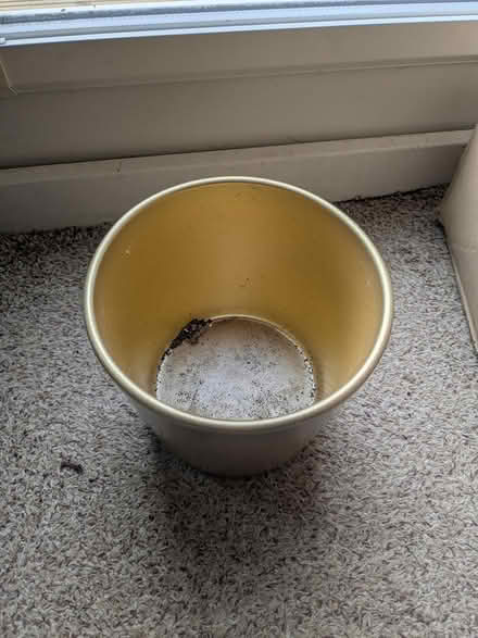 Photo of free Various indoor plant pots (M32 stretford) #4