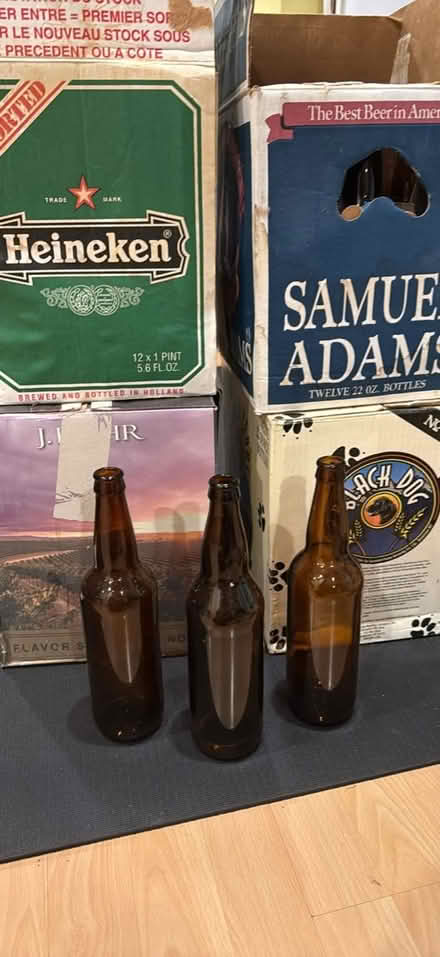 Photo of free 22 oz bottles for home brewers (West side of Lakeville) #1