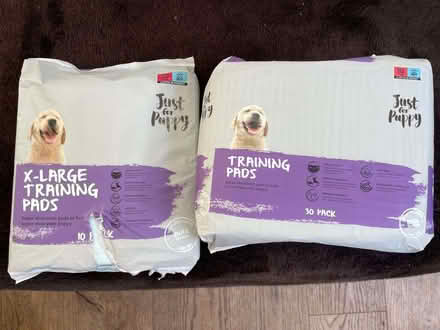 Photo of free Puppy Traing Pads (Steventon OX13) #1