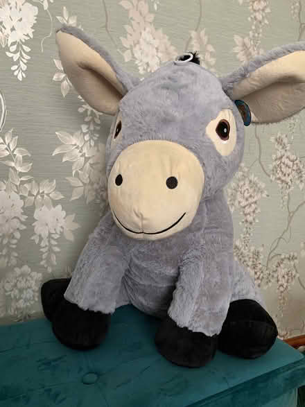 Photo of free Cuddly Donkey (L15 Wavertree) #1