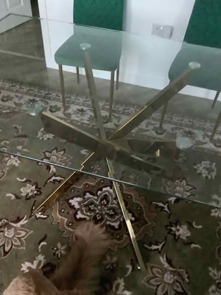 Photo of free Glass dining table (East Calder EH53) #3