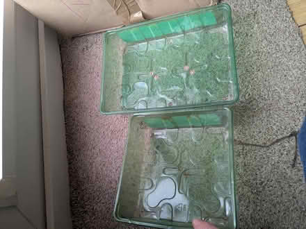Photo of free Seed trays, pots, propagator lids (M32 stretford) #1