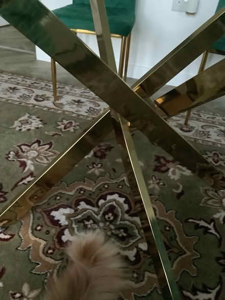 Photo of free Glass dining table (East Calder EH53) #2
