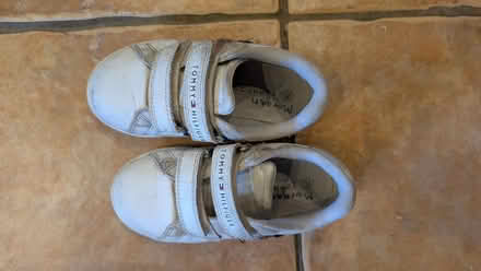 Photo of free Child Size 26(8.5), Tommy Hilfiger Trainers (Thanet CT7) #1
