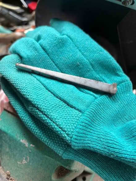 Photo of free Clasp nails (Havant PO9) #2