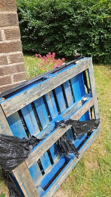 Photo of free Good quality solid pallet (BN7) #1