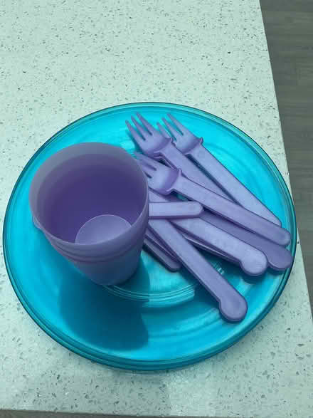 Photo of free Picnic Plates, cutlery and cups (West Wickham BR4) #1