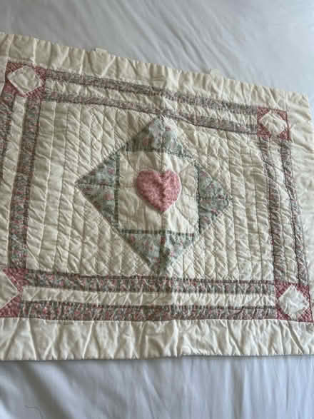 Photo of free Pillow sham (Wood Ridge) #1