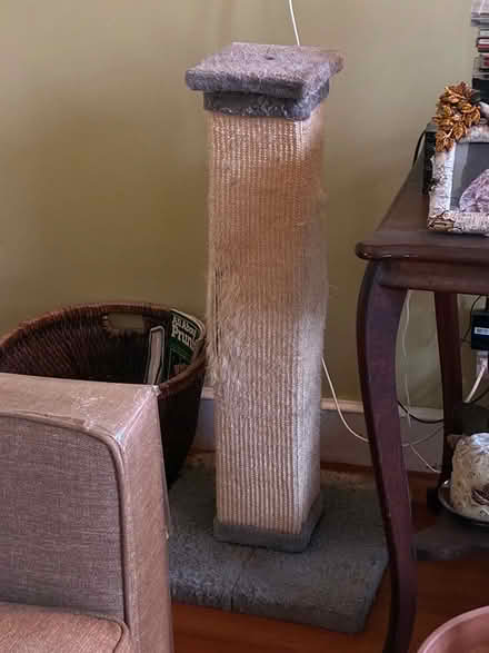 Photo of free Cat scratching post (01801) #1