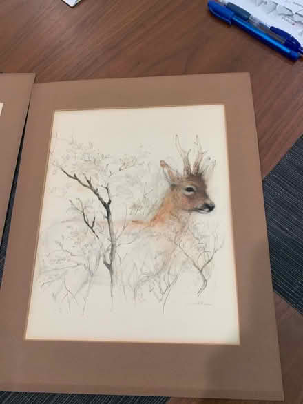 Photo of free Two matted pictures (Near downtown Walnut Creek) #2