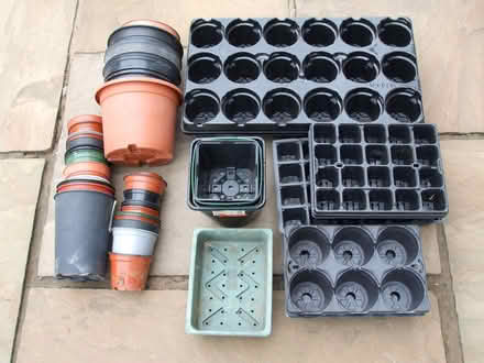 Photo of free Assorted plant pots (Orton CA10) #1