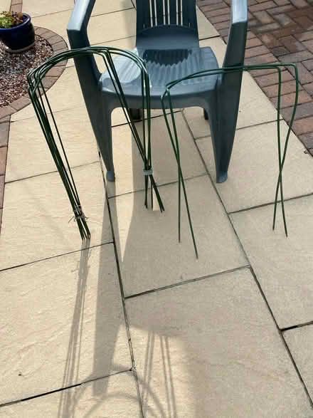 Photo of free Plant supports (Harrogate, HG1) #1