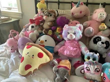 Photo of free Stuffed Animal Collection (Newtown Square -) #4
