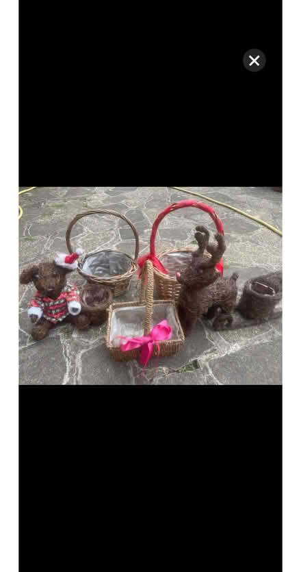 Photo of free Floristry items (Bracknell RG12) #1