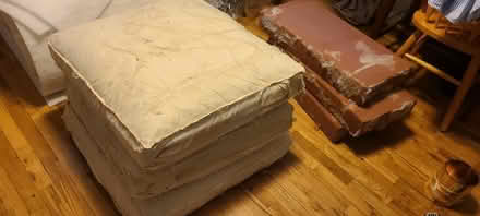 Photo of free Clean cushion inserts and fill (South beacon hill) #1