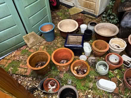 Photo of free Pots (Colehill BH21) #3