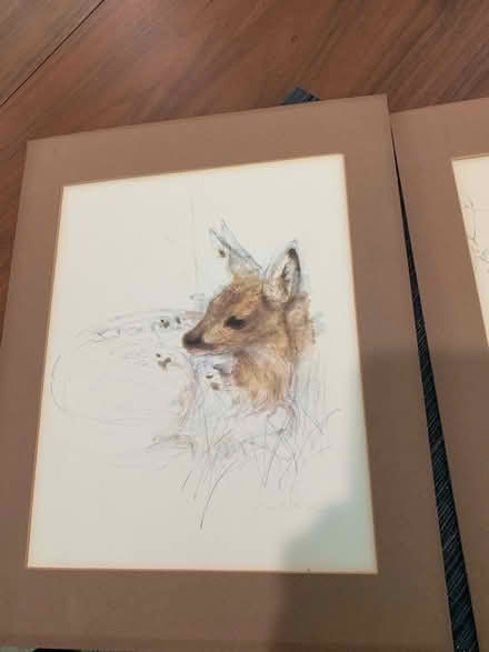 Photo of free Two matted pictures (Near downtown Walnut Creek) #1